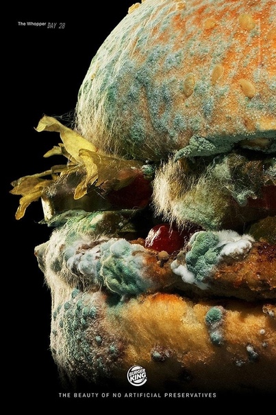 Чтобы угодить cвоим клиентам, Burger ing решил больше не использовать искусственные консерванты и красители в своей продукции и показывает, как будет выглядеть их бургер через 34 дня. «Мы в