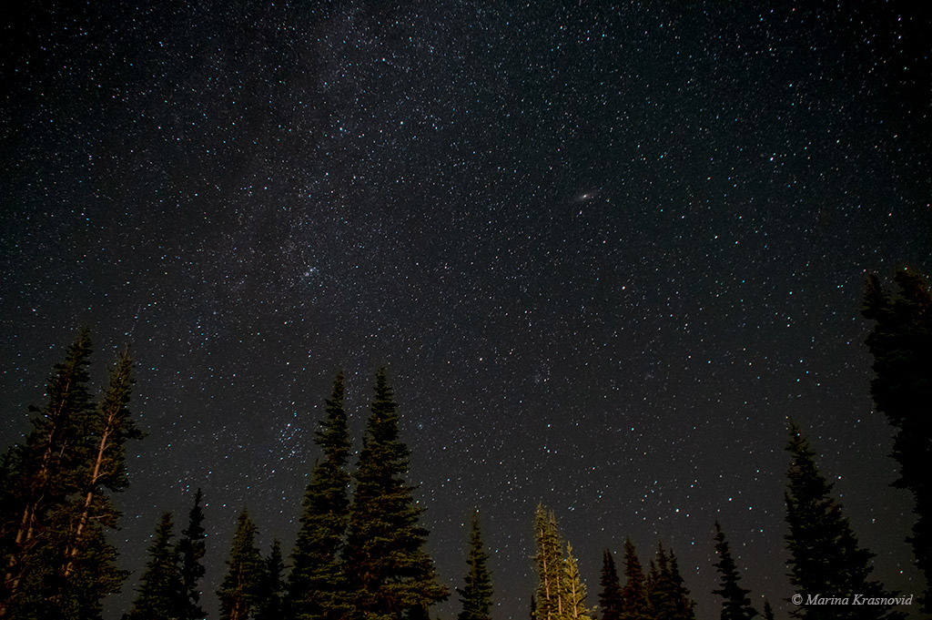 штат Вашингтон: Искали комету NEOWISE, а нашли Млечный Путь