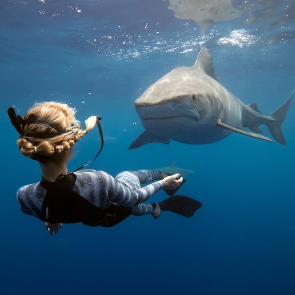 Завораживающие снимки гавайского фотографа Juan Oliphant Хуан Олифант создает захватывающие подводные снимки. Они выглядят настолько потрясающе, что их можно назвать шедеврами искусства.