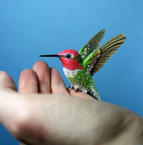 Лондонский художник Зак Маклауглин (Zac Mclaughlin . В его руках дерево и кусочки бумаги превращаются в удивительно натуралистичных пернатых друзей. Зак создаёт птиц и мелких животных в