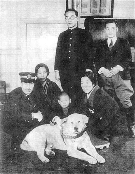Хатико: редкие фотографии самой верной собаки в мире В 1932 году пёс по кличке Хатико стал национальной сенсацией. Его преданность своему хозяину настолько впечатлила народ Японии, что история