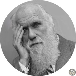 «Недостающее звено» между обезьяной и человеком Мы не произошли от современных обезьян Стоит начать с того, что знания многих людей о эволюции да и о Дарвине ограничиваются утверждением о том