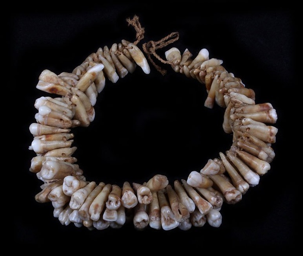 Ожерелье из 138 человеческих зубов. Остров Фиджи, 16-19 вв. Оно достались своему хозяину или в качестве военных трофеев, или в качестве остатков от еды (на Фиджи был распространён каннибализм).