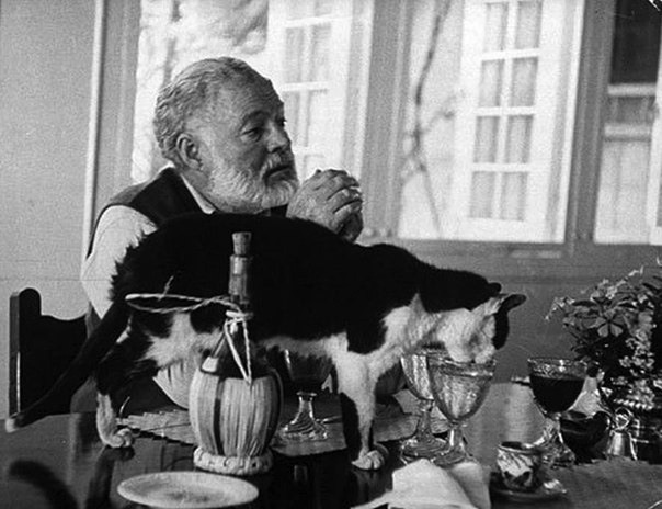 Шестипалые талисманы Эрнеста Хемингуея На момент смерти писателя у него было 57 кошек и все они были шестипалыми. Известно, что такие котики считаются «талисманами удачи» для моряков и