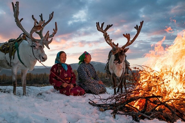 Серия фотографий о жизни семьи оленеводов, Северная Монголия. Фотограф: Джоэль Сантос.