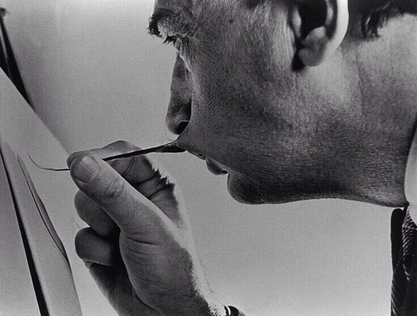 Фото Сальвадора Дали, который пишет картину своими собственными усами. 1954 г.