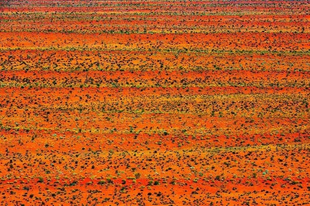 Фотограф снимает потрясающие ландшафты пустынь в Австралии Четыре года назад фотограф Джошуа Смит занялся новым интересным проектом. Воодушевленный любовью к Австралии и вдохновленный полетом
