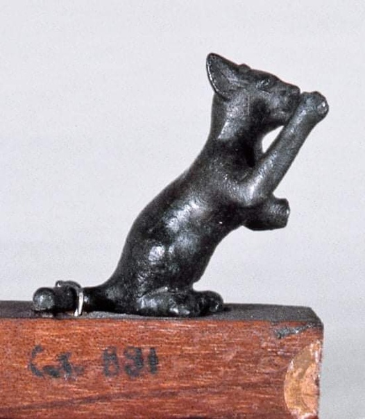Древнеегипетский котенок умывается Или играет, стоя на задних лапах Статуэтка датируется Поздним периодом (722332 гг. до н.э.). Бронза. Хранится в Египетском музее в