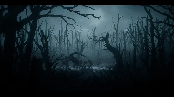 Новые кадры фэнтези-сериала «Ведьмак» На Netflix уже 20 декабря.