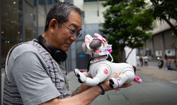 В Японии набирают популярность вечеринки для роботов-собак Aibo Каждое воскресенье токийское кафе Penguin открывается на час раньше по не совсем обычной причине: здесь собираются владельцы