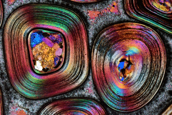 Карлсбад Шпрудельштейн (осадочная порода) под микроскопом, 5x Фото: Dr. Bernardo Cesare, Dr. Axel Munnece