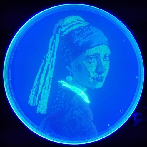Чашка Петри Пикассо: красота микробиологии через искусство Агаровое искусство это форма искусства, в которой для создания художественных произведений используются микробы. Чашка Петри Пикассо