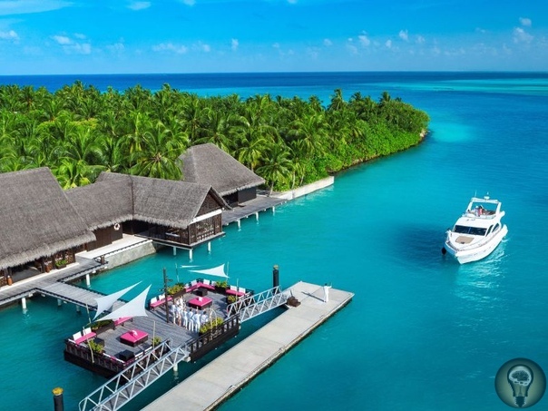 Отдых на Мальдивах: какой остров выбрать Территориальная организация на Мальдивах непростая. Вся страна делится на атоллы, то есть на группы островов, а они, в свою очередь, бывают трёх видов: -