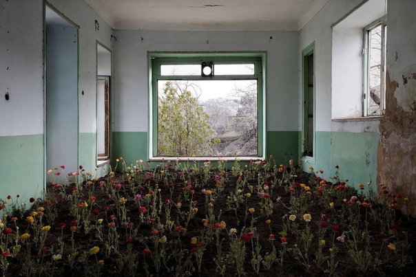 Природа поглощает заброшенные места Тегерана: захватывающая фотосерия Гохара Дашти На фотографиях мы видим большие заброшенные пространства, заросшие растениями, которые еще больше подчеркивают