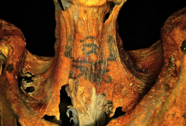 У древнеегипетских мумий обнаружили невидимые татуировки Инфракрасное излучение помогло увидеть тату на древних мумиях возрастом около 3000 лет.Археологи из Университета Миссури в Сент-Луисе при