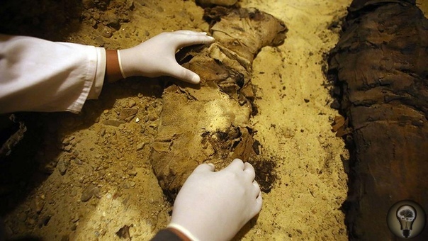 6 интересных находок археологов в 2019 году. Сенсационные открытия археологов и таинственные артефакты помогают лучше понять, как жили предки, а иногда и полностью переворачивают представление о