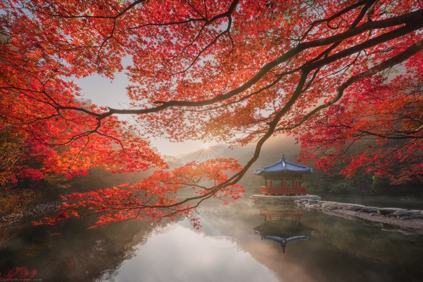 Осень в Корее Фото: Даниил Коржонов