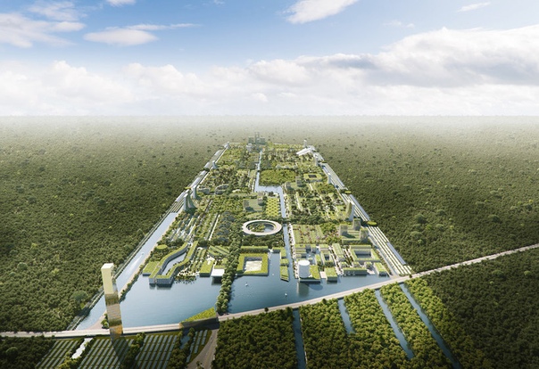 Новый смарт-город в Канкуне с 7 миллионами растений Итальянское архитектурное бюро Стефано Боэри развивает свою концепцию вертикального леса, превращая его в целый городской центр Smart Forest