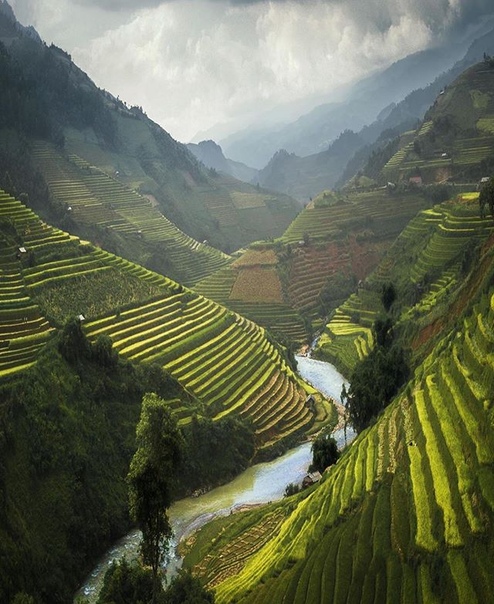 Вьетнам Фото: