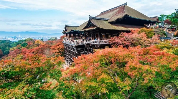 Храм Хаконэ и озеро Аси-ноко - место силы в Японии Этот японский храм является одним из священных мест в регионе Канто и местом силы в Хаконэ. Считается, что именно здесь сосредоточены