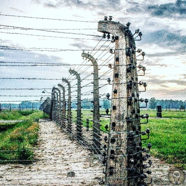 СКОРБНОЕ МЕСТО По пути во Вроцлав мы заехали в Освенцим, печально известный на весь мир городок километрах в 60 от Кракова. После раздела Польши в 1939 году он получил немецкое название Аушвиц,