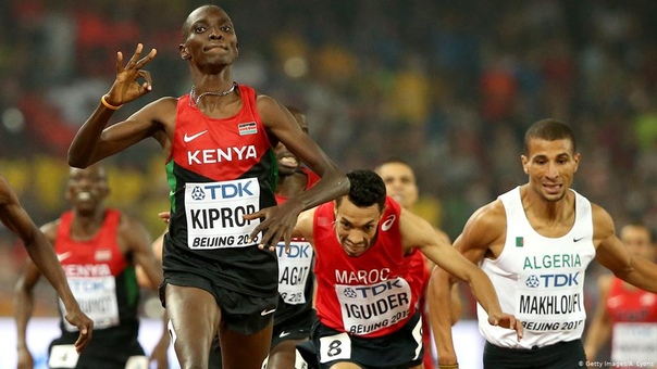 12 из 20 лучших в мире бегунов на дальние дистанции происходят из одного и того же кенийского племени