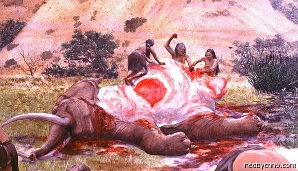 МЯСО СЛОНА Ножка слоника чем не деликатес Ели же наши давние предки забитых ими на сибирских просторах мамонтов.В 1864 году, изучая Мозамбик, шотландский миссионер Дэвид Ливингстон удостоился