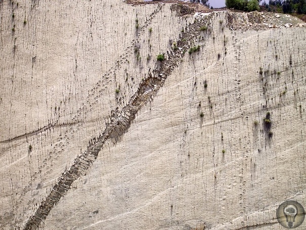 Скала динозавров или Кэл Орко Это место с самым крупным в мире скоплением следов динозавров На окраине города Сукре, Боливия, находится крупный цементный завод. Когда в 1985 году карьер по