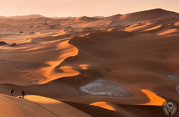 Палеонтологи: Сахара была морем, где жили гигантские сомы и морские змеи Пустыня Сахара не всегда была таким безжизненным местом, каким является в настоящее время. Ранее этот гигантский кусок