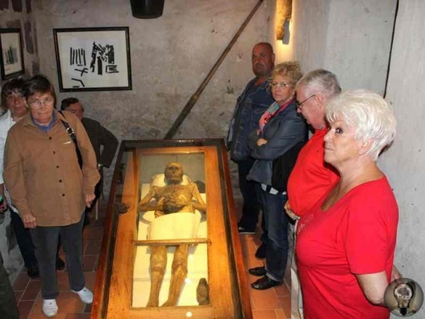 Мистическая история мумии рыцаря фон Кальбутц из Кампеля